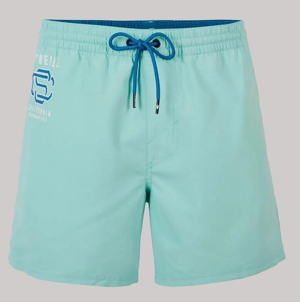 Zwembroek O'Neill Men State Swim Aqua Spalsh